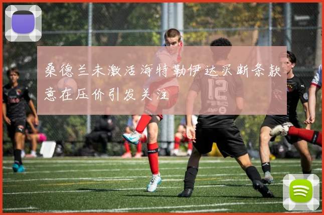 桑德兰未激活海特勒伊达买断条款意在压价引发关注