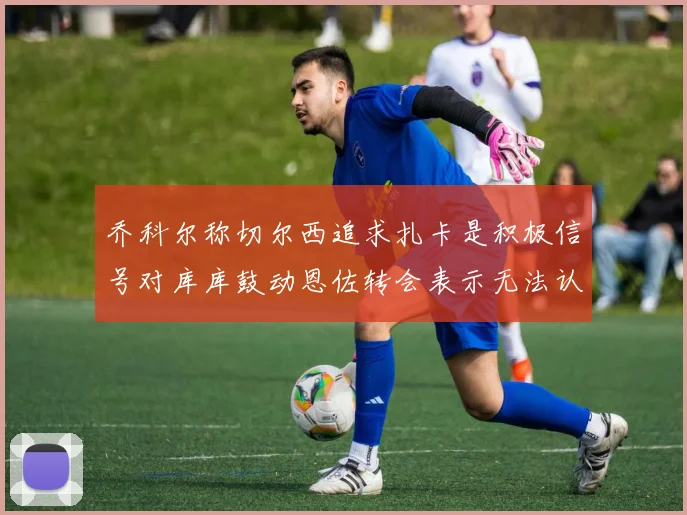 乔科尔称切尔西追求扎卡是积极信号对库库鼓动恩佐转会表示无法认同