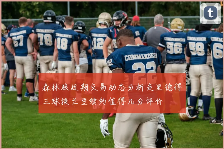 森林狼近期交易动态分析走里德得三球换兰豆续约值得几分评价